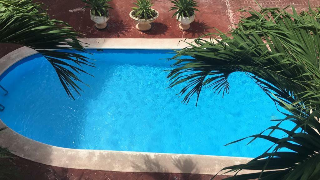 Arcoiris Share Apartment Bavaro Пунта-Кана Екстер'єр фото